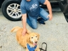 Woofstock 2